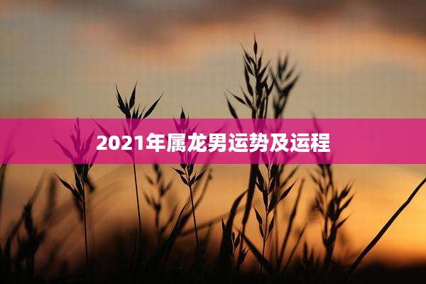 2021年属龙男运势及运程