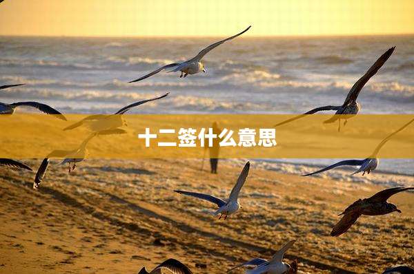 十二签什么意思