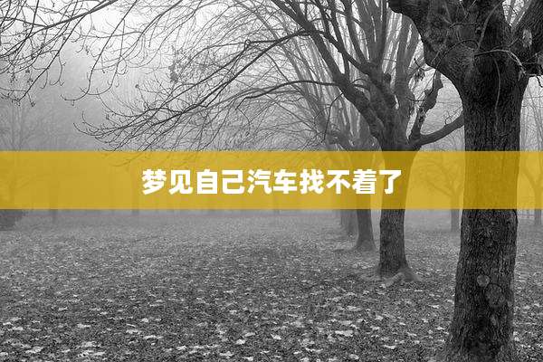 梦见自己汽车找不着了