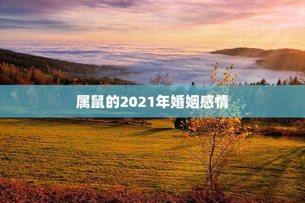 属鼠的2021年婚姻感情