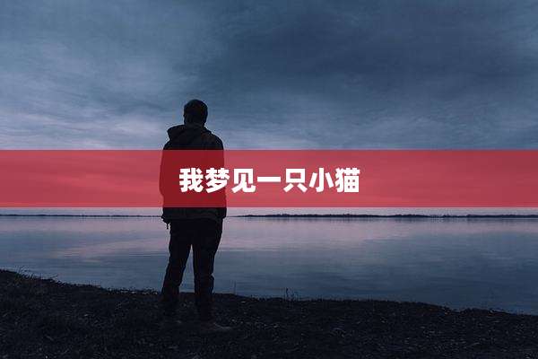 我梦见一只小猫