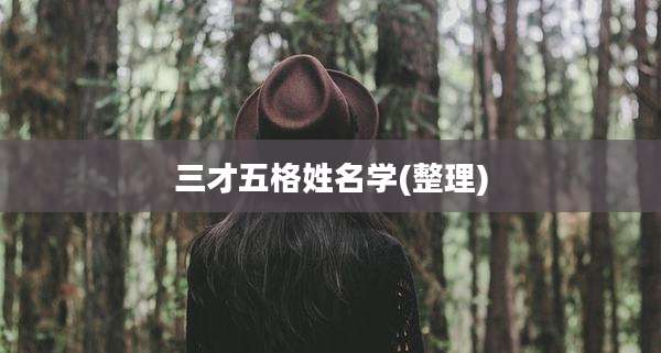 三才五格姓名学(整理)