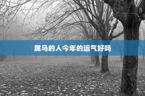 属马的人今年的运气好吗