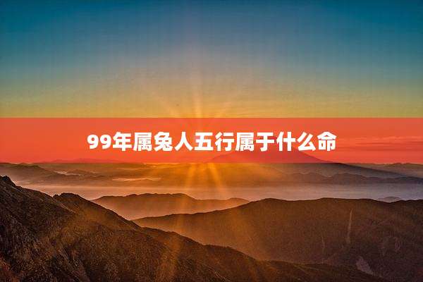 99年属兔人五行属于什么命
