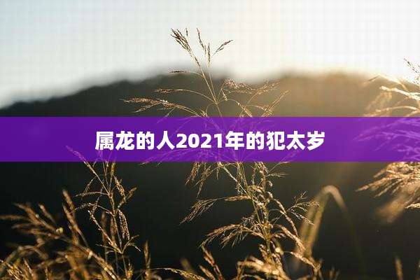 属龙的人2021年的犯太岁