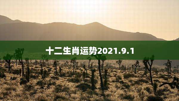 十二生肖运势2021.9.1