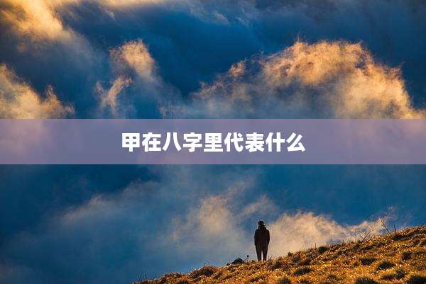 甲在八字里代表什么