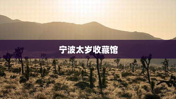 宁波太岁收藏馆