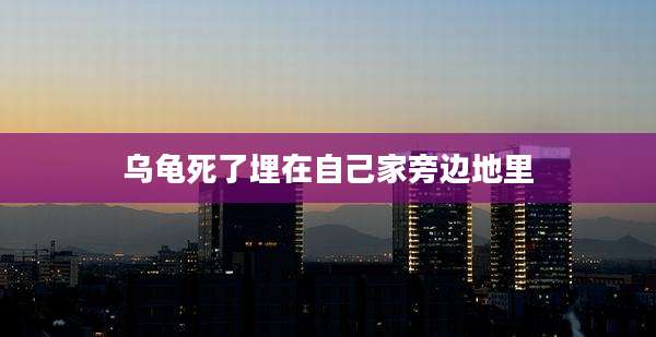 乌龟死了埋在自己家旁边地里