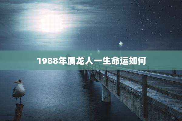 1988年属龙人一生命运如何