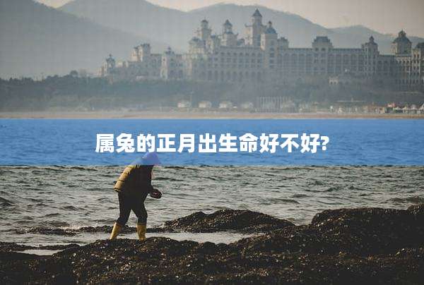 属兔的正月出生命好不好?