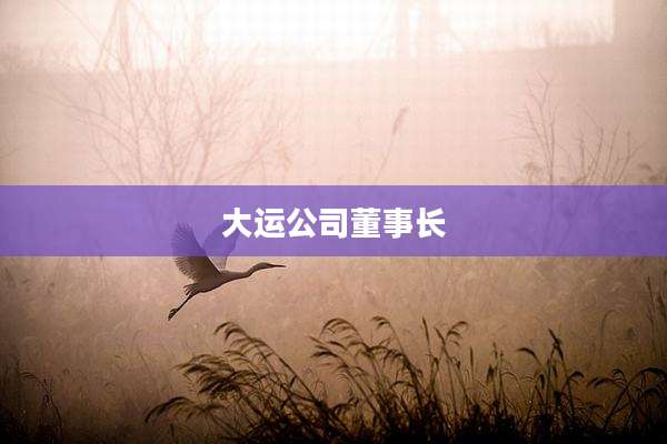 大运公司董事长