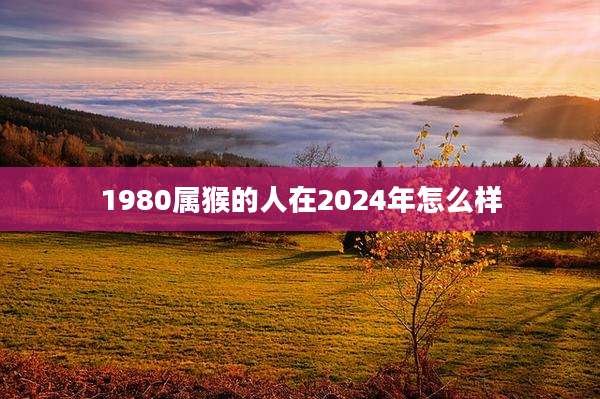 1980属猴的人在2024年怎么样