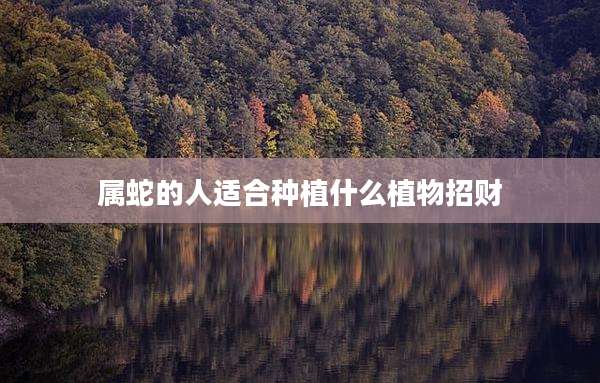 属蛇的人适合种植什么植物招财