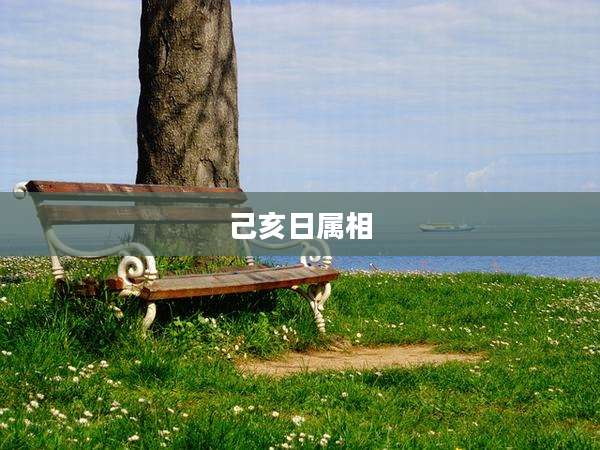 己亥日属相