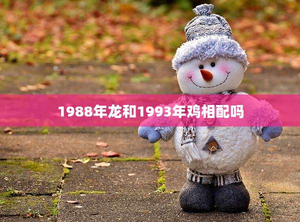 1988年龙和1993年鸡相配吗