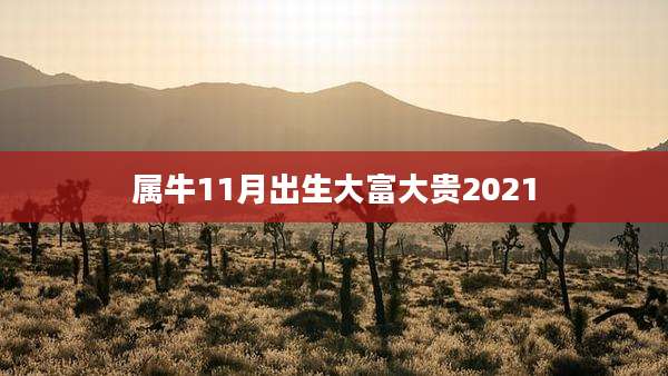 属牛11月出生大富大贵2021