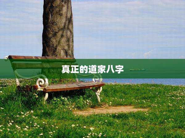 真正的道家八字