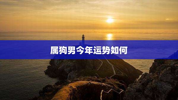 属狗男今年运势如何