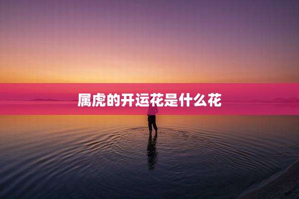 属虎的开运花是什么花