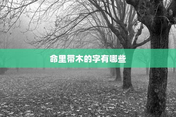 命里带木的字有哪些