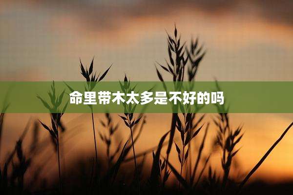 命里带木太多是不好的吗