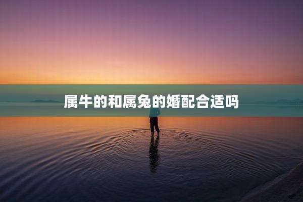 属牛的和属兔的婚配合适吗