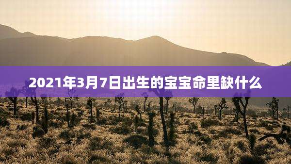 2021年3月7日出生的宝宝命里缺什么