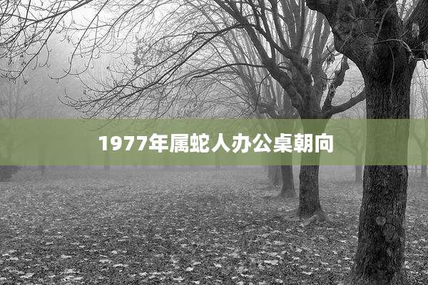 1977年属蛇人办公桌朝向