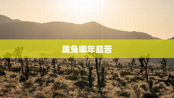 属兔哪年最苦