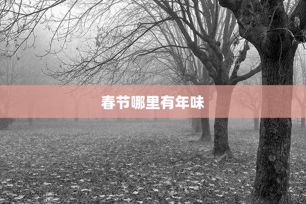 春节哪里有年味