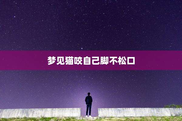 梦见猫咬自己脚不松口