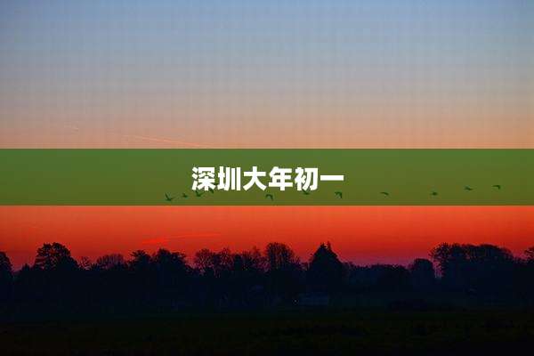 深圳大年初一