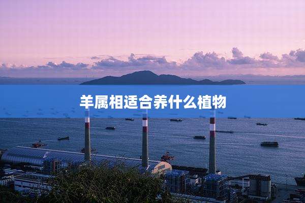 羊属相适合养什么植物