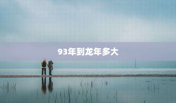 93年到龙年多大