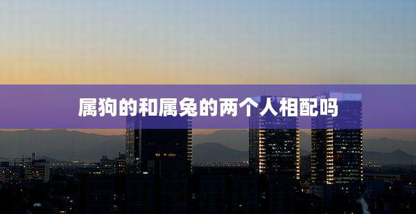 属狗的和属兔的两个人相配吗