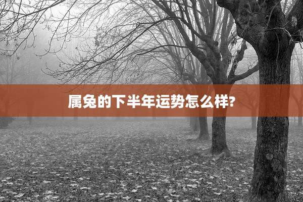 属兔的下半年运势怎么样?