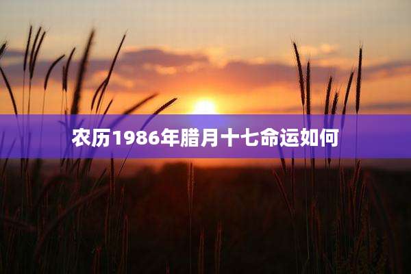 农历1986年腊月十七命运如何