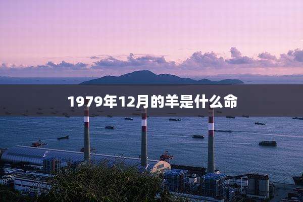 1979年12月的羊是什么命