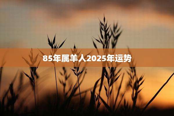 85年属羊人2025年运势