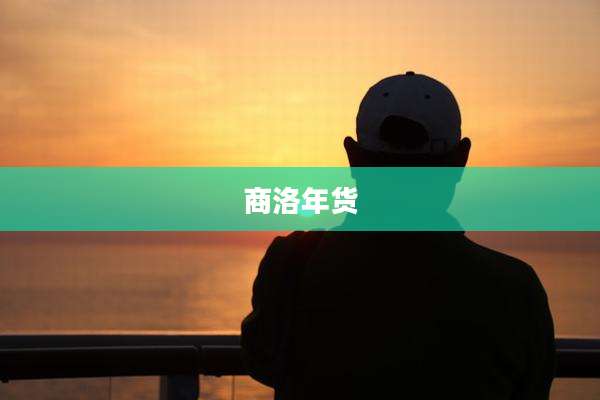 商洛年货