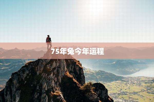 75年兔今年运程
