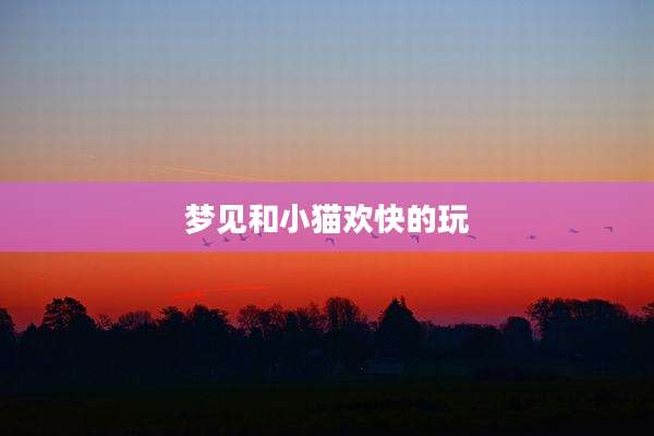 梦见和小猫欢快的玩
