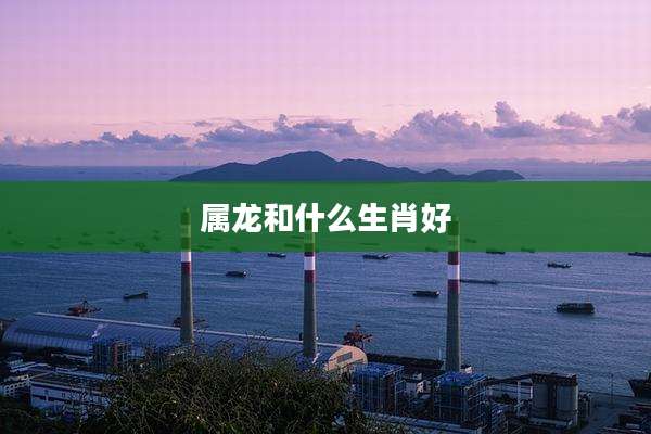 属龙和什么生肖好