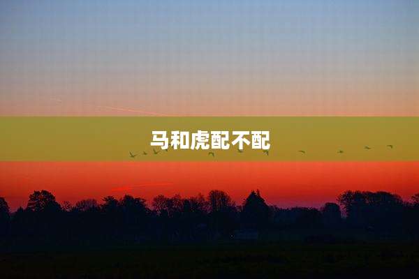 马和虎配不配