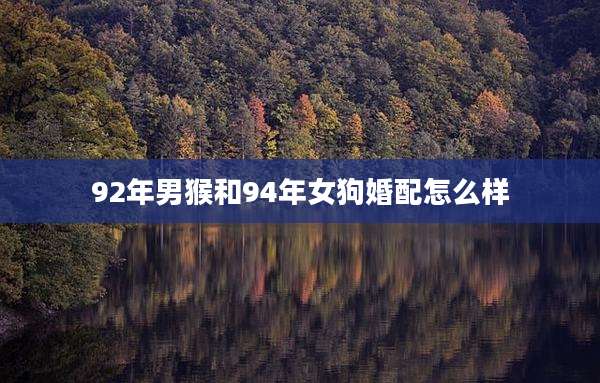 92年男猴和94年女狗婚配怎么样