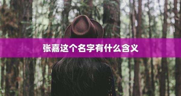 张嘉这个名字有什么含义