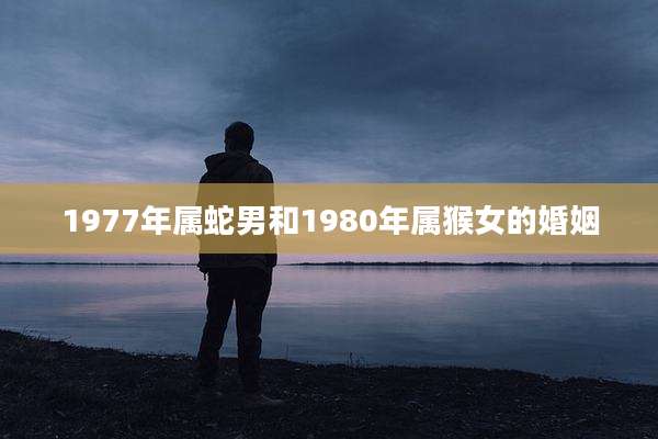 1977年属蛇男和1980年属猴女的婚姻