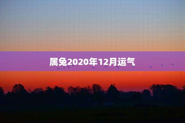 属兔2020年12月运气