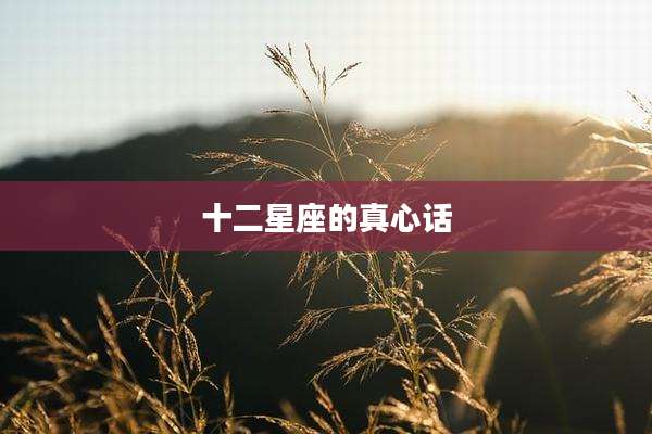 十二星座的真心话